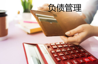 汽车消费信贷机构资产负债管理的目标