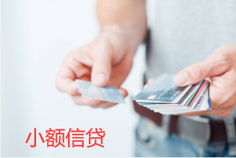 小额信贷融资机制(图1) 小额信贷融资机制