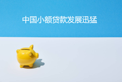 中国小额贷款发展迅猛