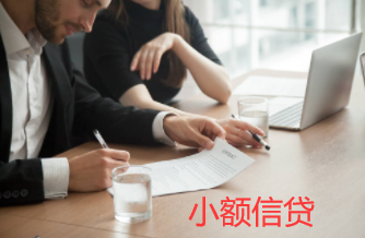 国外金融人士对小额信贷的建议
