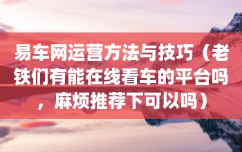 易车网运营方法与技巧（老铁们有能在线看车的平台吗，麻烦推荐下可以吗）