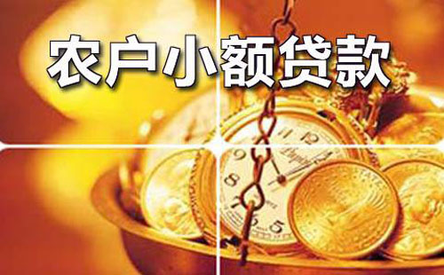 成都农商银行农户小额信用贷款办理流程（向贷款人发放贷款）