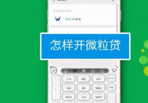 
没有微粒贷怎么用微信借钱软件应用“微粒货”是国内首家银行(图5)