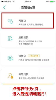 农行小额贷款都怎么贷(农行怎么贷款农户小额贷款)_个人银行流水,房产抵押查询
