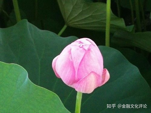 买房贷款越多越好、还款时间越久越好吗？至于购房是全款还是贷款？
(图3)