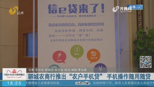 聊城本外币贷款余额3077.4亿元较年初增加191.6亿元出席2021年上半年金融运行有关情况新闻发布会