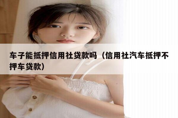 农村信用社能抵押车做贷款吗？怎么申请呢？