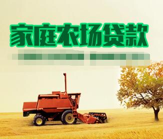 
农村金融农村金融综合服务分站助力农民贷款的呢？(图)