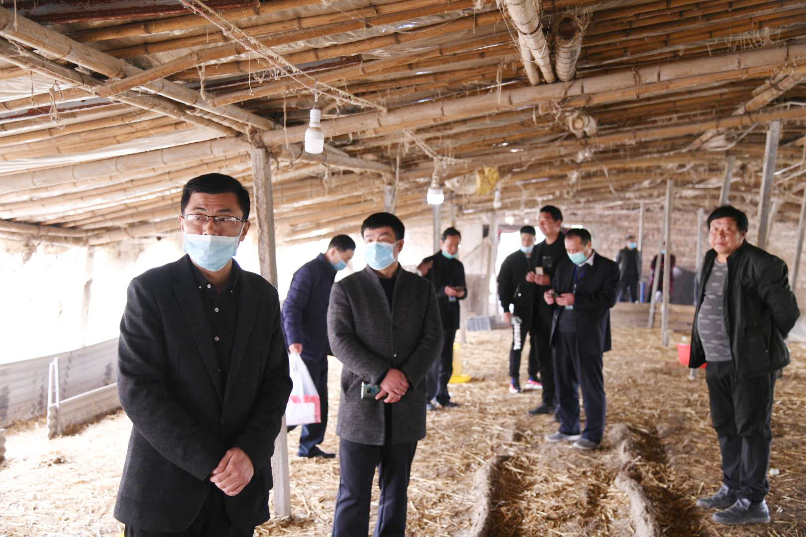 “三到村三到户”项目资金发展肉羊养殖