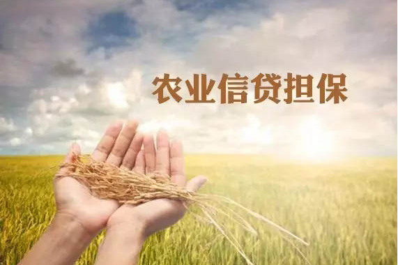 中国农业发展银行专项过桥贷款支持重大水利工程建设的重要意义(图)