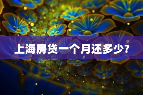 上海房贷一个月还多少?