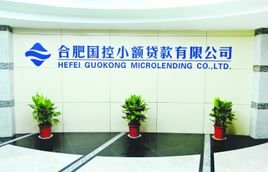 小额信贷公司-1
