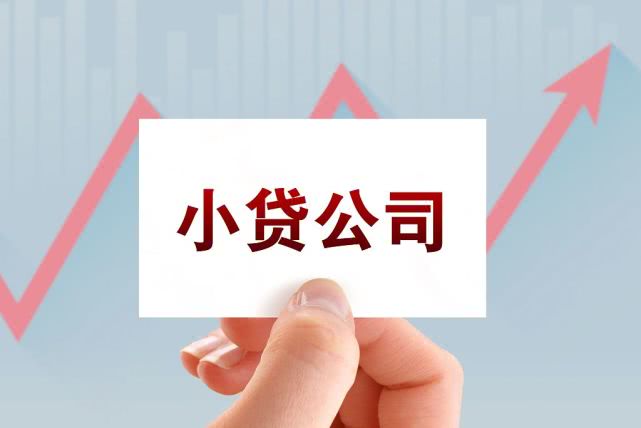 2020最新小额贷款公司排行榜十强公司有哪些？公司名单