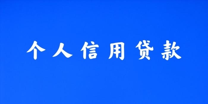 银行信用贷贷款申请流程借款人向银行提交如下资料