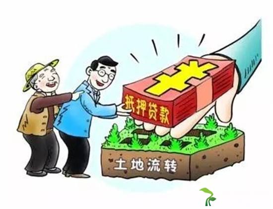 自然资源未供土地处置严禁新增以政府储备土地抵押融资行为