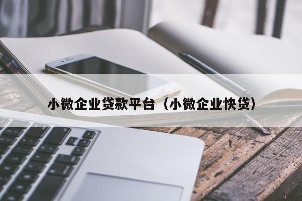 小微企业贷款平台（小微企业快贷）-第1张图片-鸿业投资网