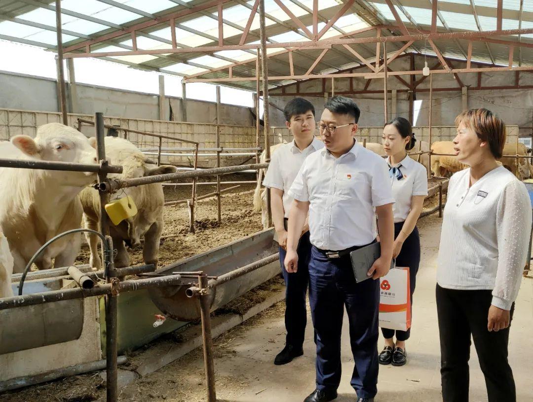 启“新”教育业帮助返乡大学生“献智出力”地方发展