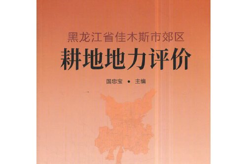 佳木斯市原国土局长违规举债反思：国土等部门联合造假