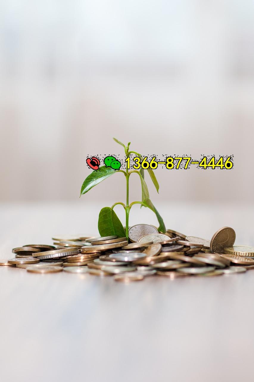 昆明纯私人放款：快速借贷，轻松满足您的资金需求！