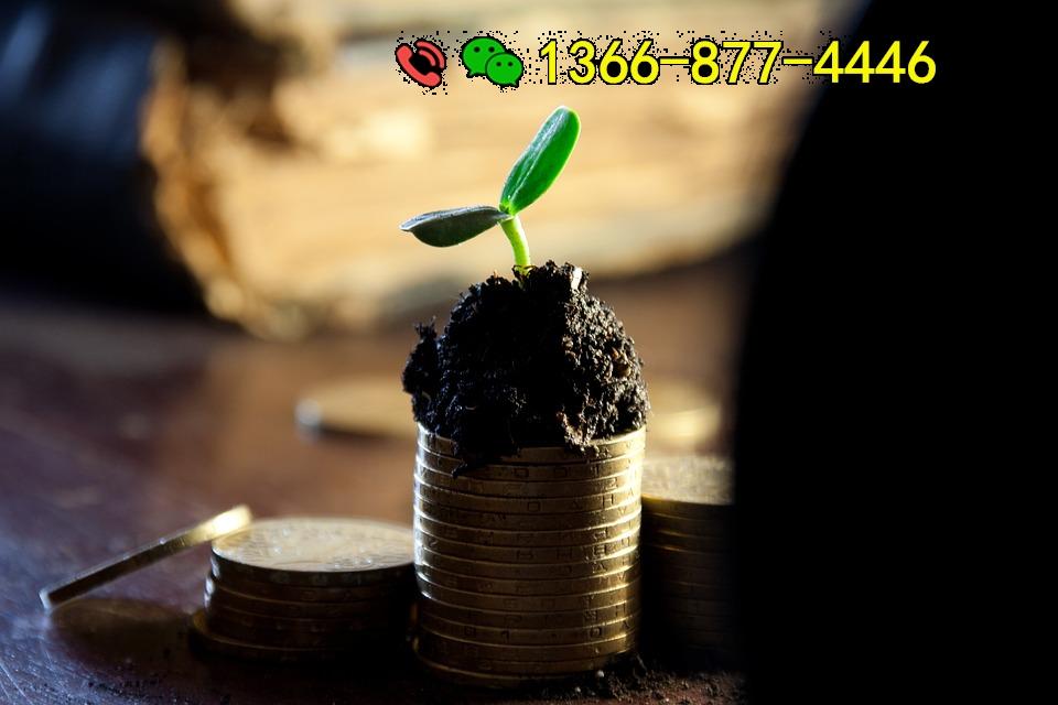 私人借贷应急：解决紧急资金需求的最佳选择
